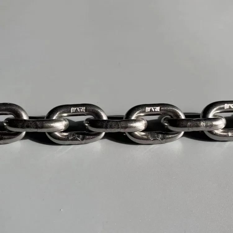 High Strength Stainless Chain