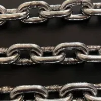 Heiße Geflügelverarbeitungsleitungszubehör Hühnerente Schlachtkette